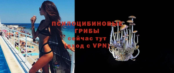 первитин Алексеевка