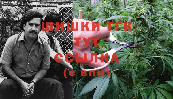 первитин Алексеевка