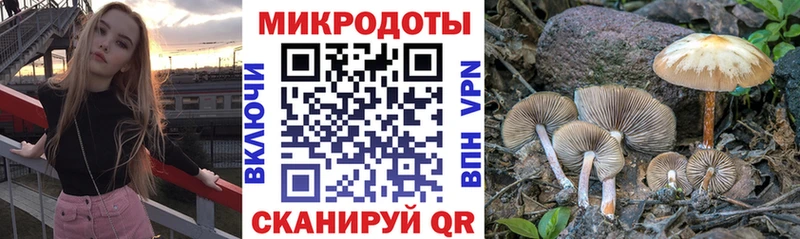Галлюциногенные грибы ЛСД  где можно купить   Ладушкин 